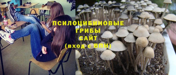 стаф Горно-Алтайск